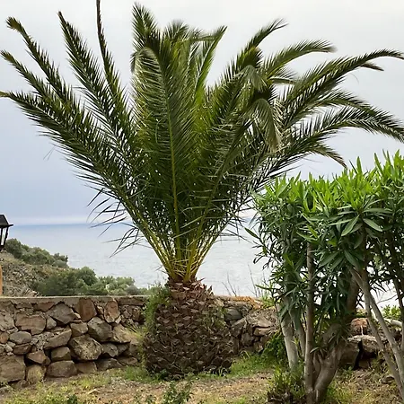 Villa Casa Bacco, Capistello *